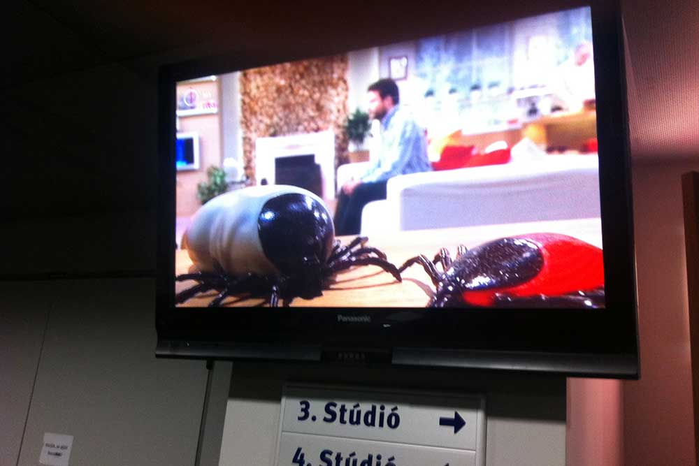 pr ügynökség, pr-kampány, egészség marketing, outsourcing