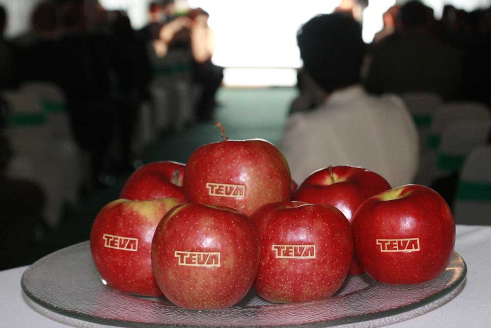 gravírozott, alma, lézergravírozás, rendezvény